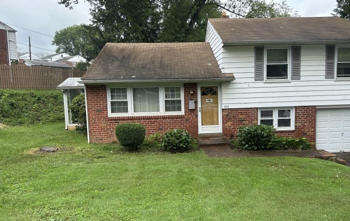 Bush and tree trimming service in Delaware County