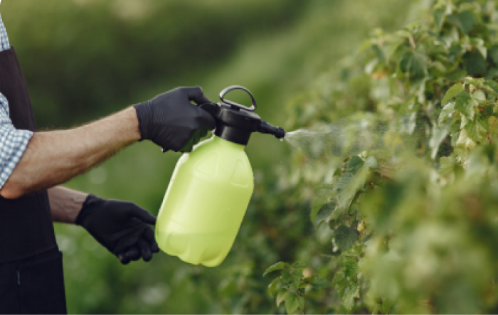 Lawn fertilizing treatment for healthy green grass