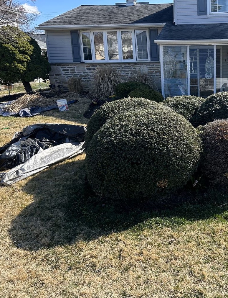Seasonal yard cleanout removing leaves and debris