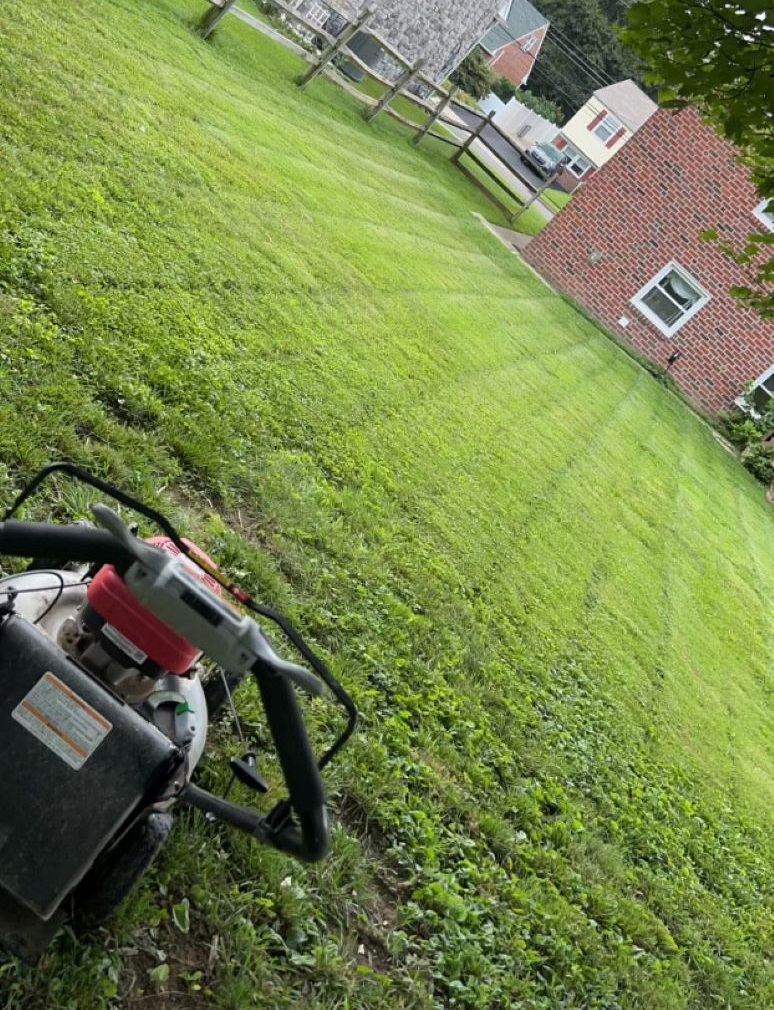 Professional lawn mowing service in Delaware County, PA