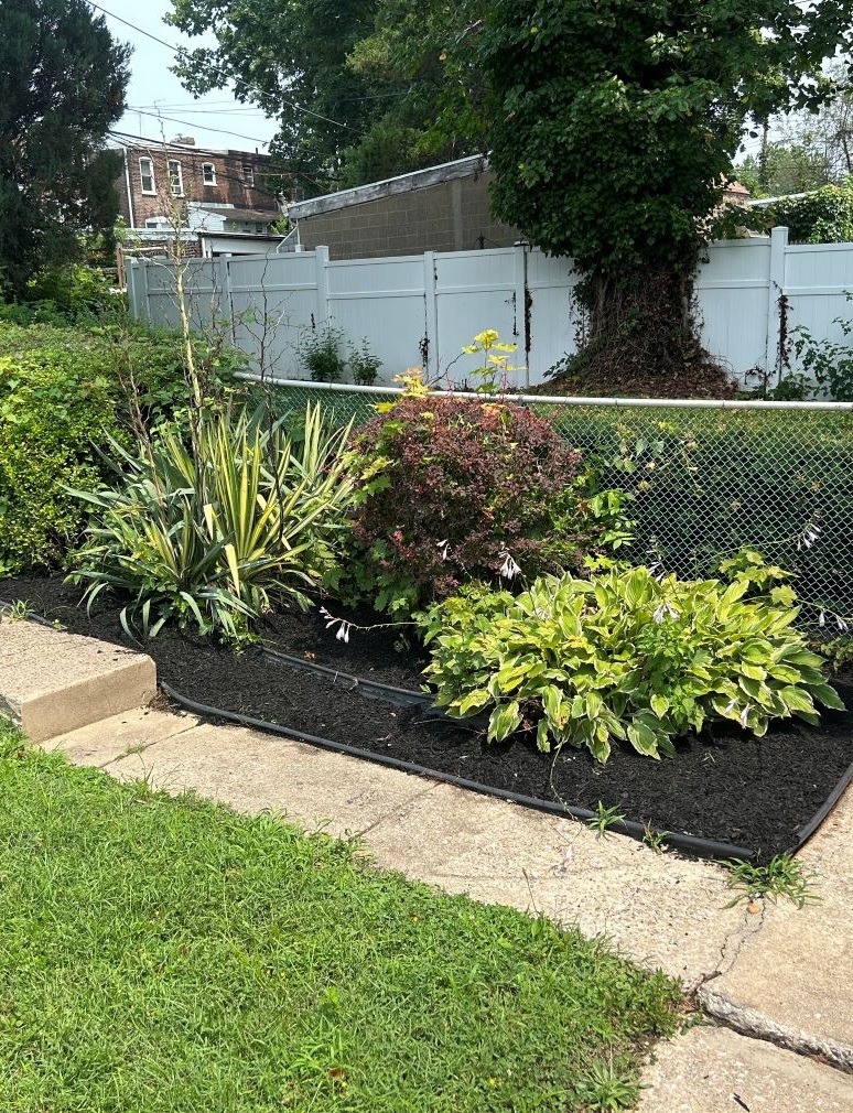 Mulch installation in landscaping beds in Philadelphia area